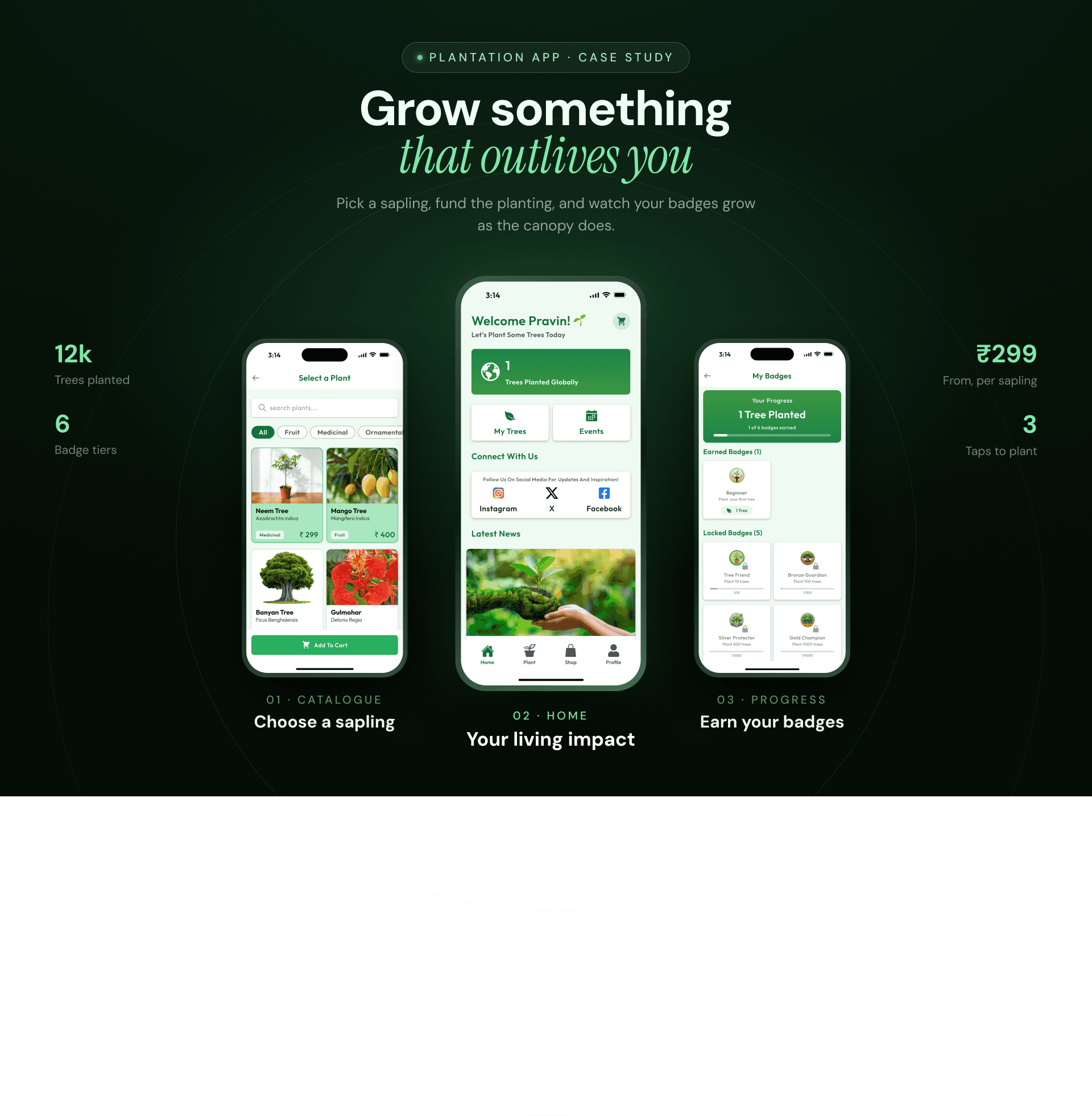Three Me And My Tree app screens on a mint background